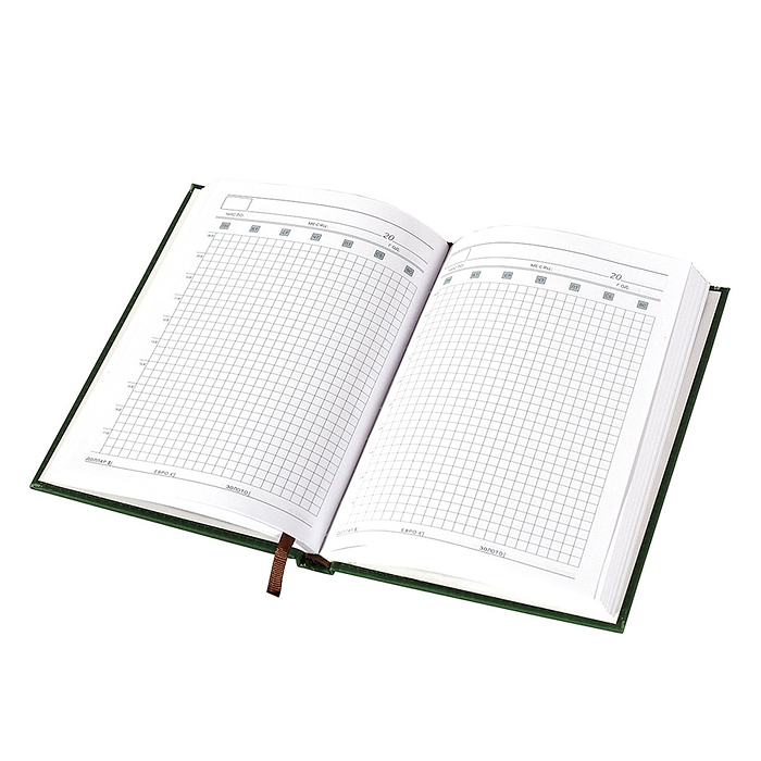 Фото к товару Ежедневник недатированный, А5, 140 л., клетка, "Орнамент", тиснение, ляссе, зеленый Ежедневник недатированный, А5, 140 л., клетка, "Орнамент", тиснение, ляссе, зеленый