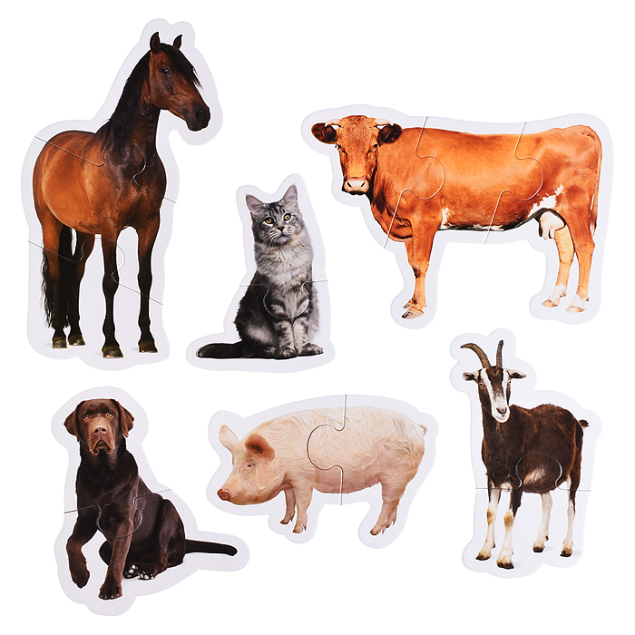 Фото к товару Пазлы 14 Maxi "Домашние животные" Пазлы 14 Maxi "Домашние животные"