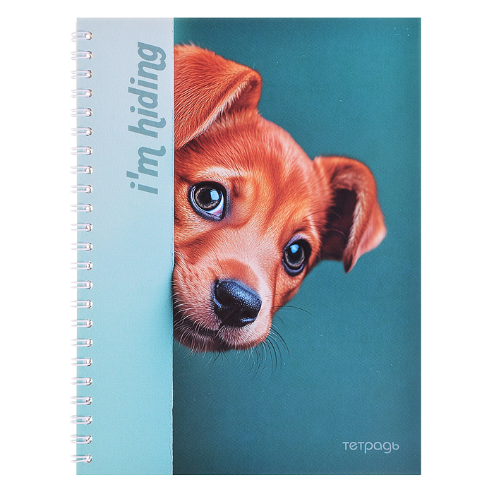 Тетрадь 40л. клетка "Любопытный щенок" на гребне Тетрадь 40л. клетка "Любопытный щенок" на гребне