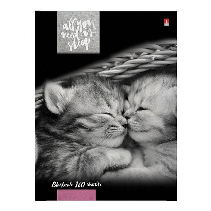 Блокнот-престиж А6 160 л. "Котята мур-мур"