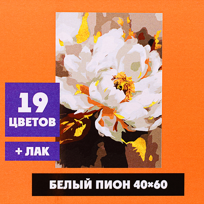 Фото к товару Картина по номерам "Белый пион" 40х60 Картина по номерам "Белый пион" 40х60