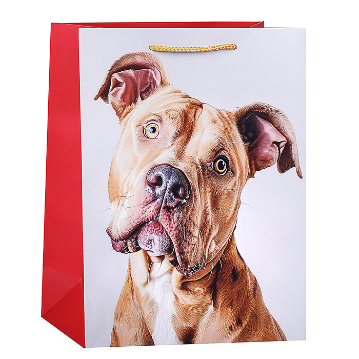 Пакет подарочный "Пес" ламированный, 26х32см, 210 гр/м2, ленточные ручки Пакет подарочный "Пес" ламированный, 26х32см, 210 гр/м2, ленточные ручки