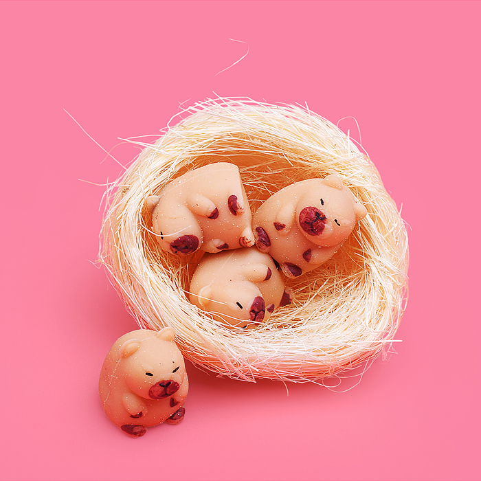 Фото к товару Игрушка -антистресс 00-6685 "Капибарки в корзинке" Игрушка -антистресс 00-6685 "Капибарки в корзинке"