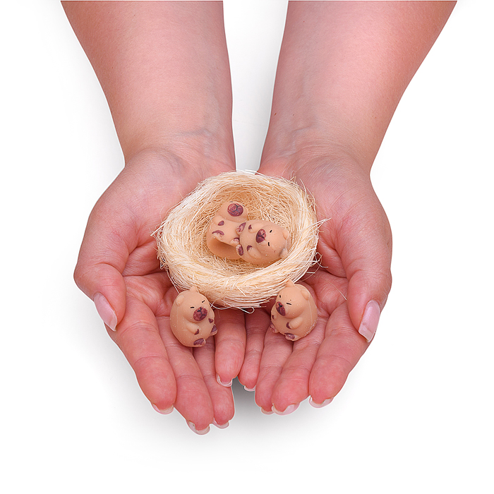 Фото к товару Игрушка -антистресс 00-6685 "Капибарки в корзинке" Игрушка -антистресс 00-6685 "Капибарки в корзинке"