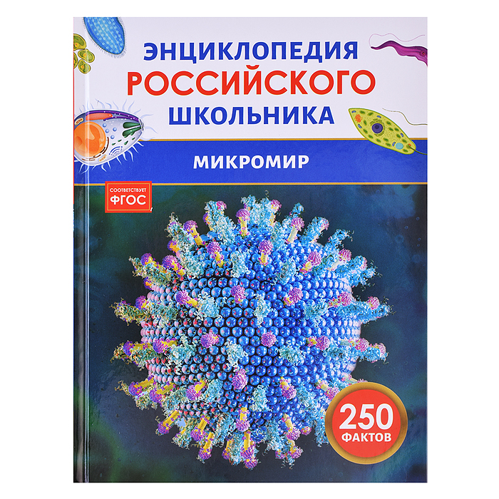 Микромир. Энциклопедия российского школьника Микромир. Энциклопедия российского школьника