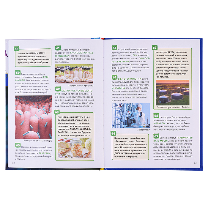 Фото к товару Микромир. Энциклопедия российского школьника Микромир. Энциклопедия российского школьника