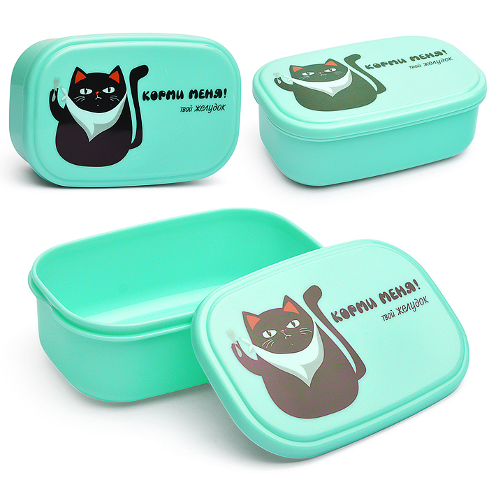 Ланчбокс "Корми меня!" 130x82x50 мм, 270 мл, для школьных завтраков, перекусов