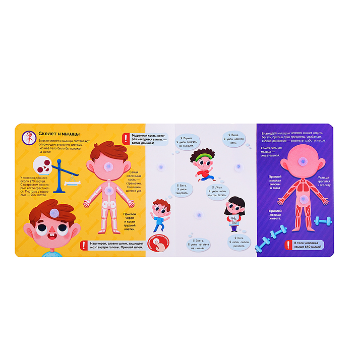 Липучки. Моё тело