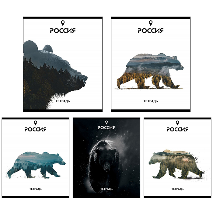 Тетрадь 48л. клетка, А5 "Место силы" скрепка Тетрадь 48л. клетка, А5 "Место силы" скрепка