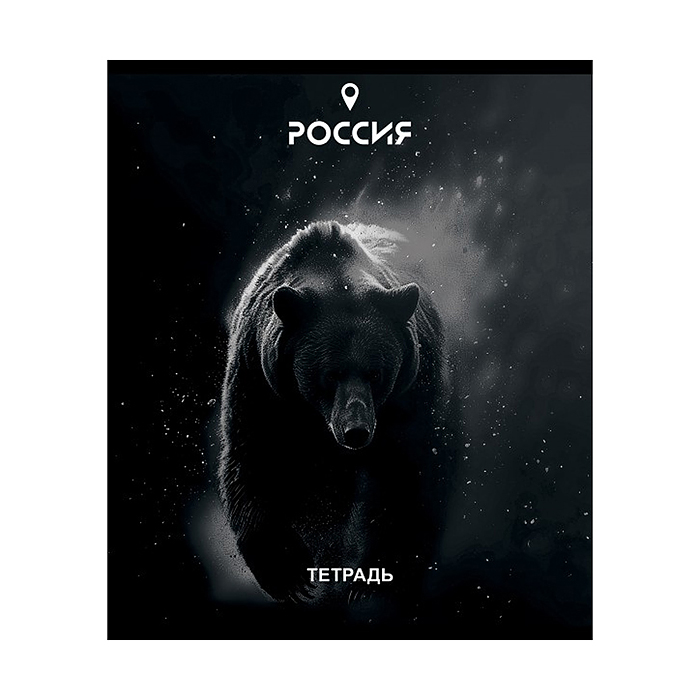 Фото к товару Тетрадь 48л. клетка, А5 "Место силы" скрепка Тетрадь 48л. клетка, А5 "Место силы" скрепка