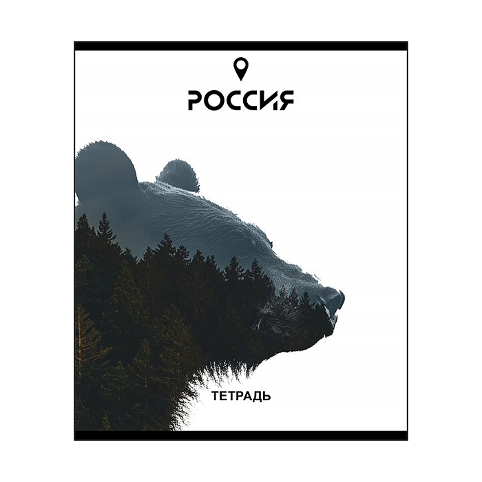 Фото к товару Тетрадь 48л. клетка, А5 "Место силы" скрепка Тетрадь 48л. клетка, А5 "Место силы" скрепка