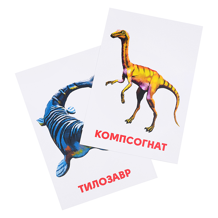 Фото к товару Развивающие карточки. Динозавры Развивающие карточки. Динозавры