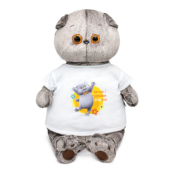 Кот Басик в футболке с принтом "Мультсериал"