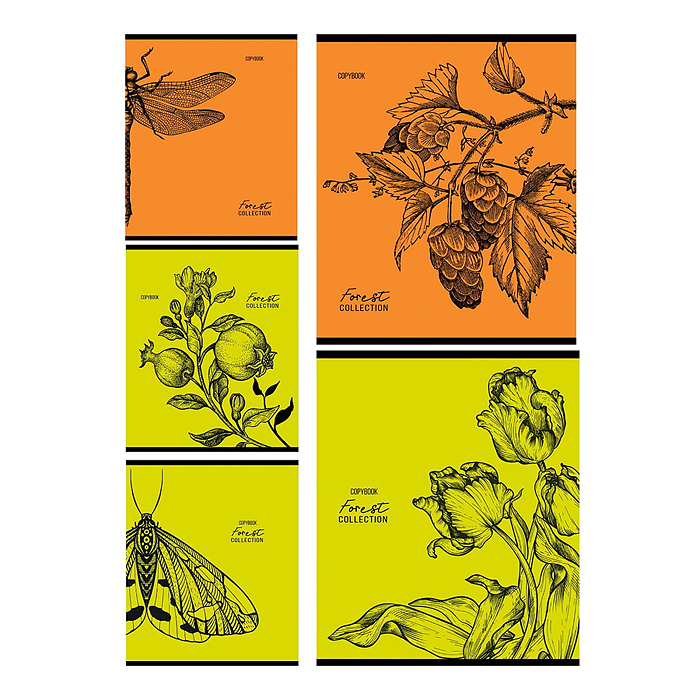 Тетрадь 96л. клетка "Зарисовки природы" Тетрадь 96л. клетка "Зарисовки природы"