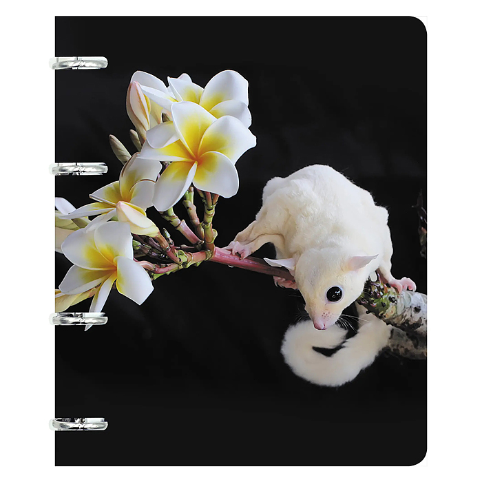 Тетрадь 80л. А5, клетка "В дикой природе" на кольцах Тетрадь 80л. А5, клетка "В дикой природе" на кольцах