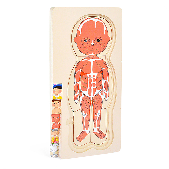 Фото к товару Пазл-вкладыш D2037 "Мальчишка" Пазл-вкладыш D2037 "Мальчишка"