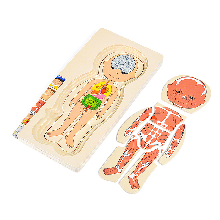 Фото к товару Пазл-вкладыш D2037 "Мальчишка" Пазл-вкладыш D2037 "Мальчишка"