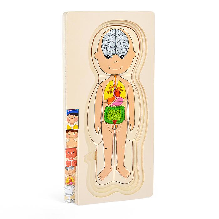 Фото к товару Пазл-вкладыш D2037 "Мальчишка" Пазл-вкладыш D2037 "Мальчишка"