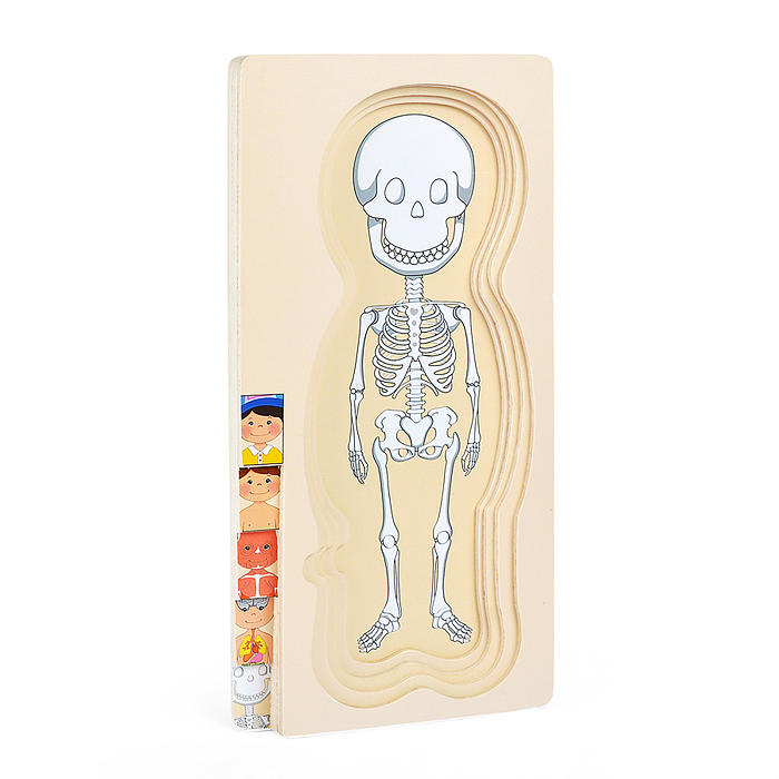 Фото к товару Пазл-вкладыш D2037 "Мальчишка" Пазл-вкладыш D2037 "Мальчишка"