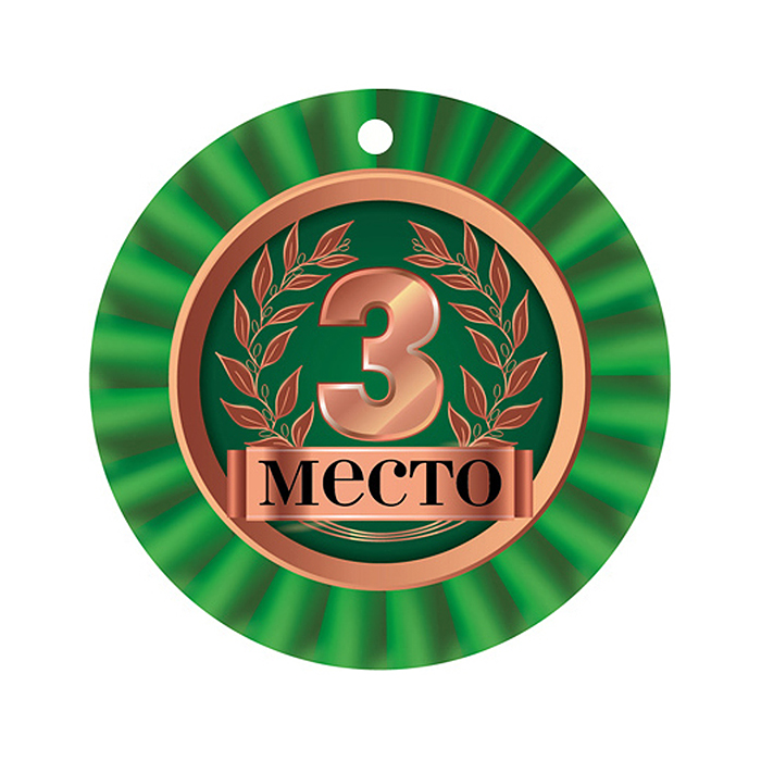 Медаль. 3 Место (уф-лак) картон, уф-лак Медаль. 3 Место (уф-лак) картон, уф-лак