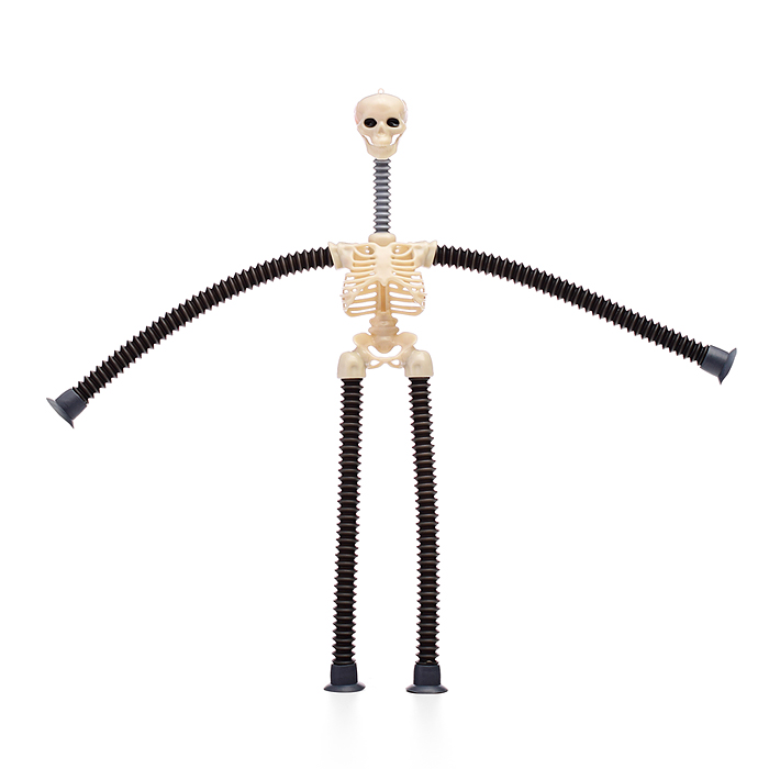 Фото к товару Игрушка -антистресс 00-6668 "Скелет" Игрушка -антистресс 00-6668 "Скелет"