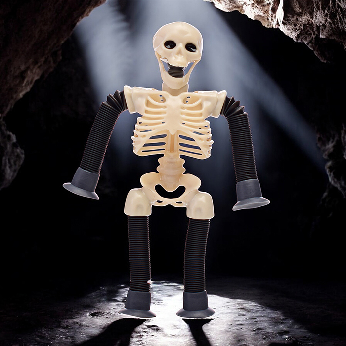 Фото к товару Игрушка -антистресс 00-6668 "Скелет" Игрушка -антистресс 00-6668 "Скелет"