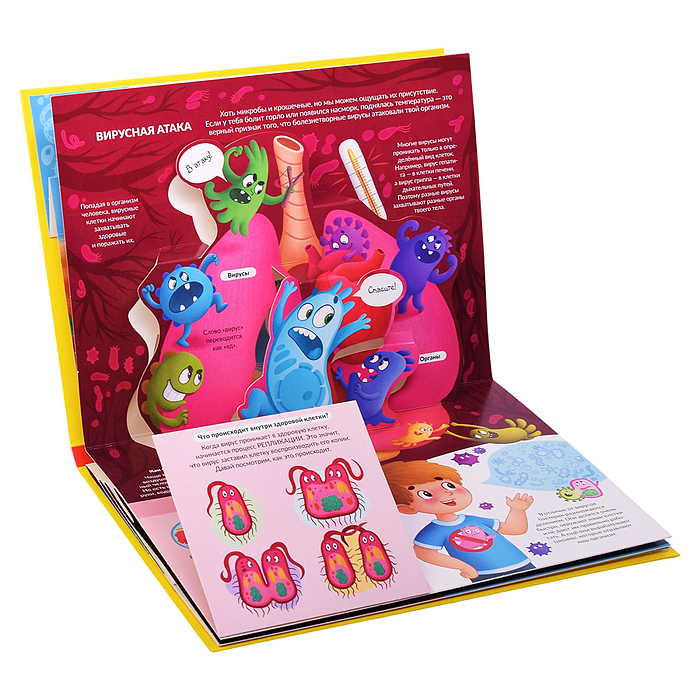 POP UP энциклопедия. Вирусы и бактерии книжка-панорамка (интегральная)