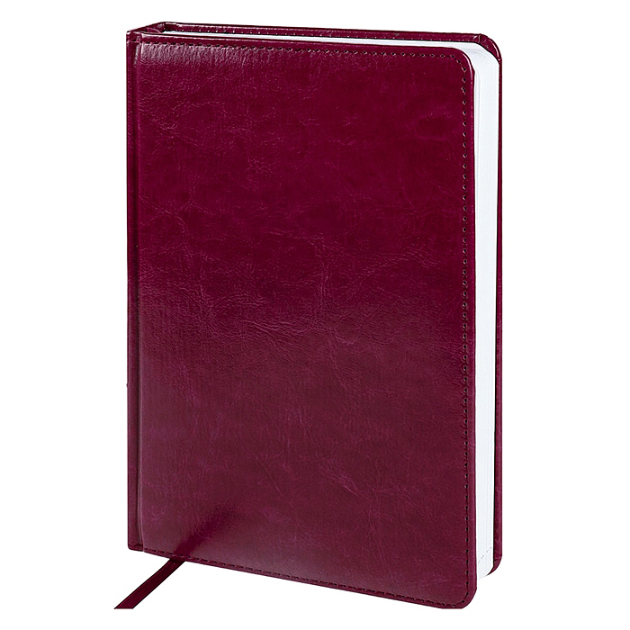 Ежедневник недатированный А5, 160л. недатир. "TOUCH SKIN - BORDEAUX" бордовый