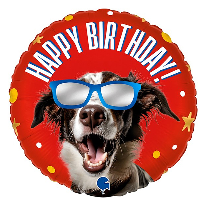 Шар (18''/46 см) Круг, Happy Birthday (классный пес в очках), Красный, 1 шт.