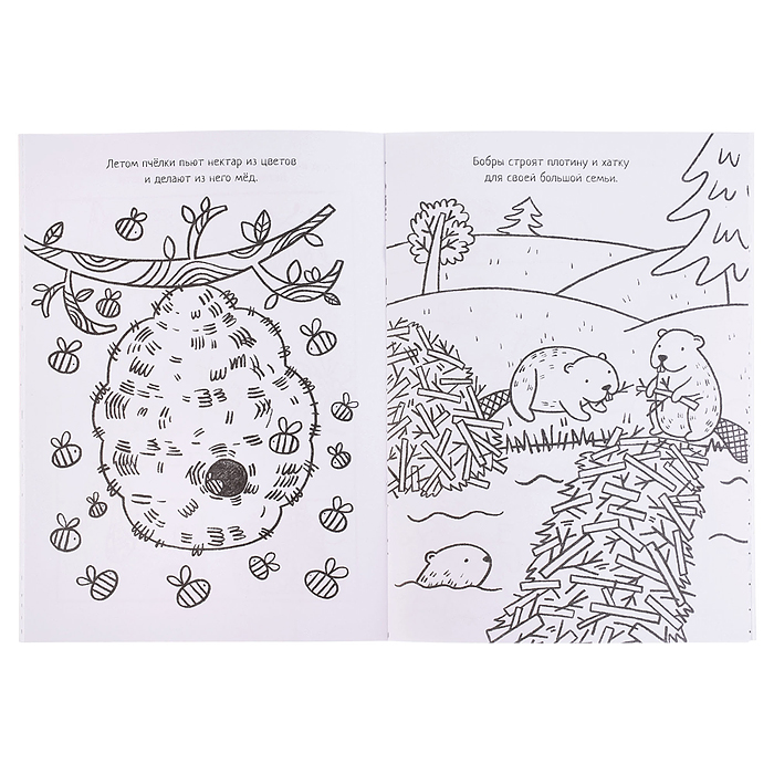 Фото к товару Большие раскраски. На природе Большие раскраски. На природе