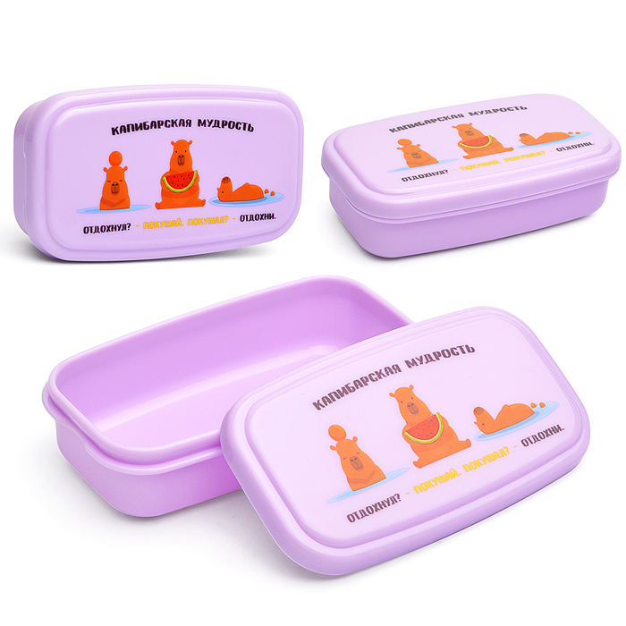 Ланчбокс "Капибарская мудрость" 105x57x30 мм, 95 мл, для школьных завтраков, перекусов, без