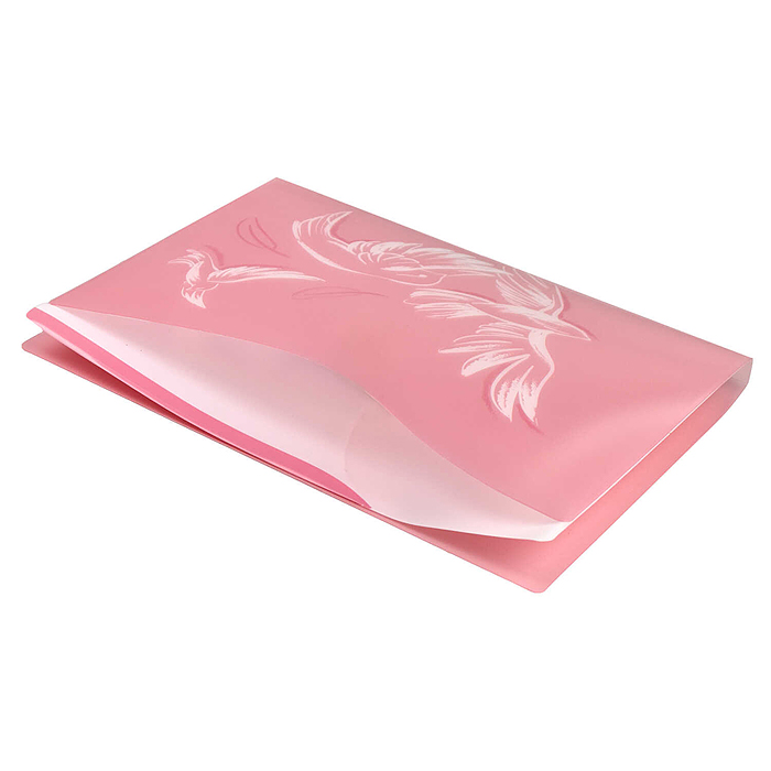 Папка для документов пластиковая "Птицы" (полипропилен, формат А4, 31х23.5х1.7 см)