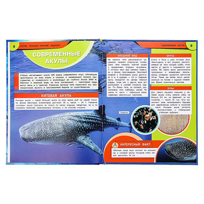 Фото к товару Акулы. Опасные морские хищники. Энциклопедия. Акулы. Опасные морские хищники. Энциклопедия.