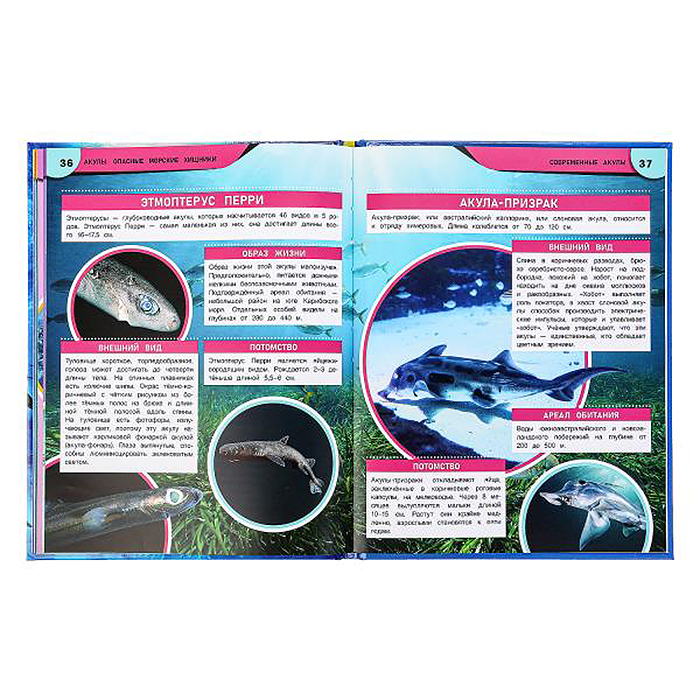 Фото к товару Акулы. Опасные морские хищники. Энциклопедия. Акулы. Опасные морские хищники. Энциклопедия.