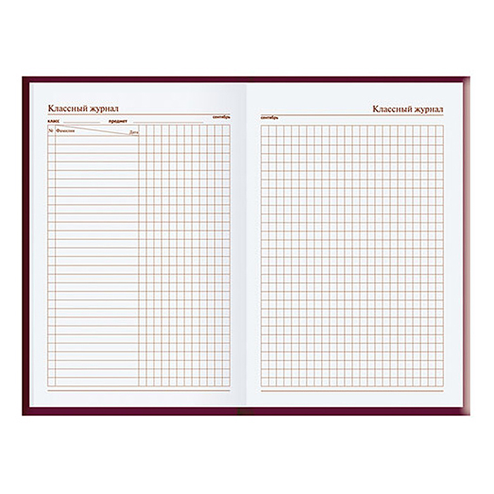 Ежедневник учителя А5 288стр.,7Бц, Уф-лак "Малинка"