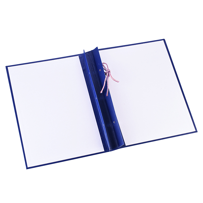 Фото к товару Папка "Дипломный проект" A4 (220x305 мм) бумвинил, шнуровка, без листов, синяя Папка "Дипломный проект" A4 (220x305 мм) бумвинил, шнуровка, без листов, синяя