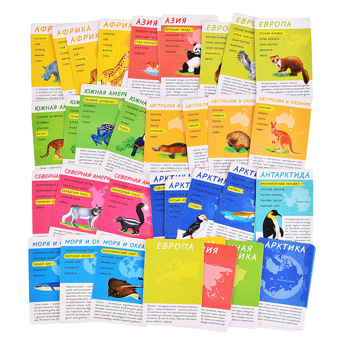 Фото к товару Подарок для самых умных. Животные мира. Книга+Большая раскраска+Игра-ходилка+Карточная игра. Подарок для самых умных. Животные мира. Книга+Большая раскраска+Игра-ходилка+Карточная игра.