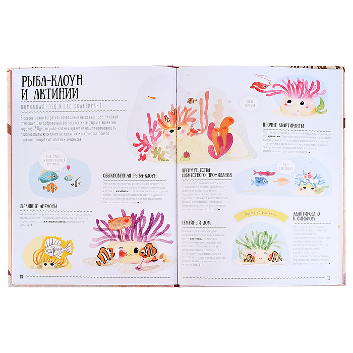 Фото к товару Подарок для самых умных. Животные мира. Книга+Большая раскраска+Игра-ходилка+Карточная игра. Подарок для самых умных. Животные мира. Книга+Большая раскраска+Игра-ходилка+Карточная игра.