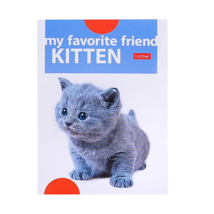 Фото к товару Набор школьно-письменных принадлежностей "Учись с удовольствием. МимиЛапки" в подарочн. кор. Набор школьно-письменных принадлежностей "Учись с удовольствием. МимиЛапки" в подарочн. кор.