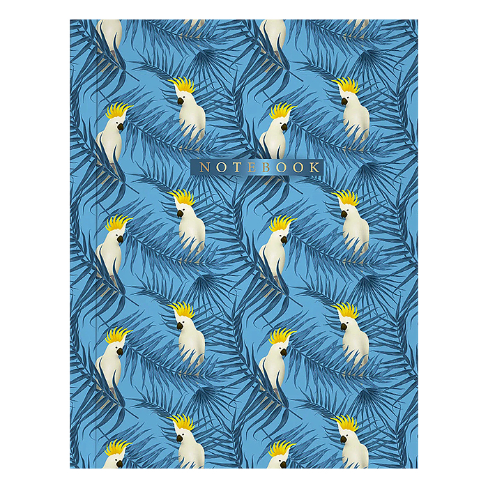 Книжка записная А6 96л "Попугаи"