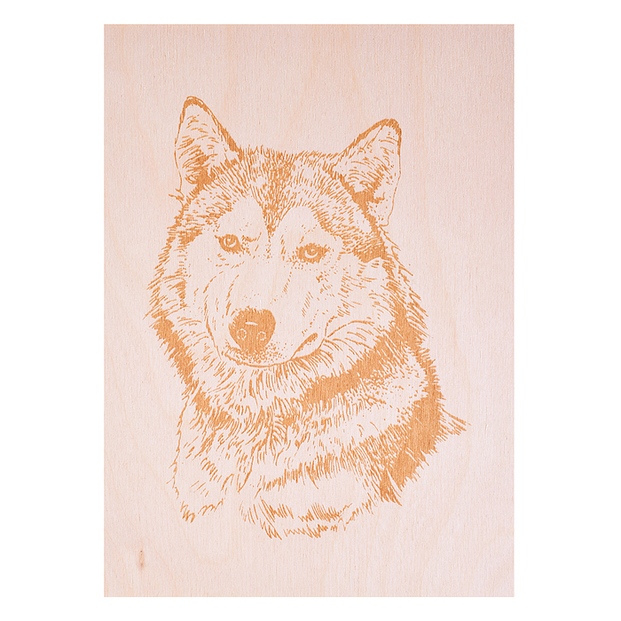 Фото к товару Выжигание. Набор для выжигания по дереву "Горыныч" (прибор + 10 досок) Выжигание. Набор для выжигания по дереву "Горыныч" (прибор + 10 досок)