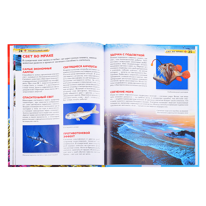 Фото к товару Детская энциклопедия. Подводный мир. Детская энциклопедия. Подводный мир.