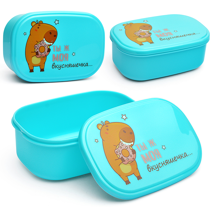 Ланчбокс "Ты ж моя вкусняшечка" 140x96x56 мм, 450 мл, для школьных завтраков, перекусов Ланчбокс "Ты ж моя вкусняшечка" 140x96x56 мм, 450 мл, для школьных завтраков, перекусов