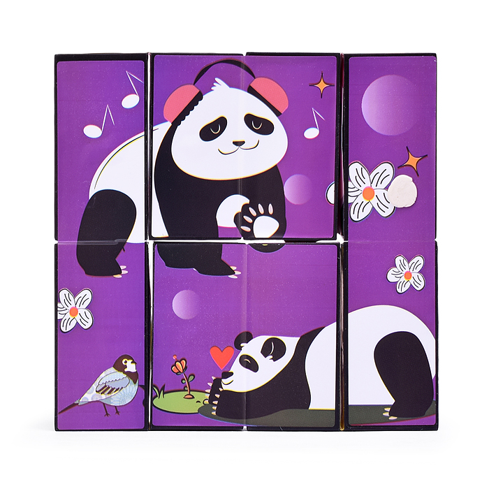 Головоломка 829 "Панда" в коробке