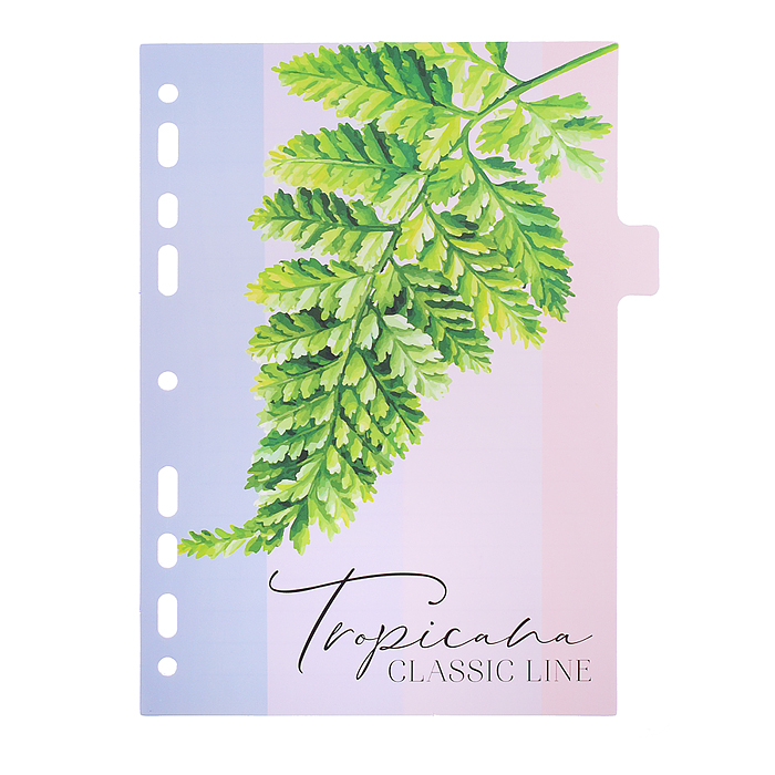 Фото к товару Разделитель листов "Tropicana" A5 (160x210 мм) ламинированный мелованный картон 210 г/м2, с Разделитель листов "Tropicana" A5 (160x210 мм) ламинированный мелованный картон 210 г/м2, с