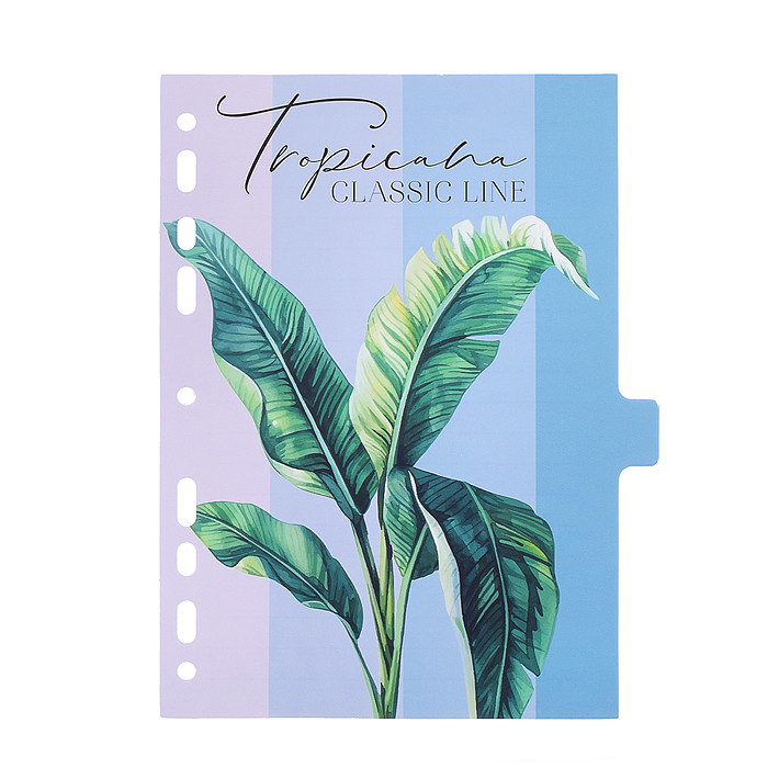 Фото к товару Разделитель листов "Tropicana" A5 (160x210 мм) ламинированный мелованный картон 210 г/м2, с Разделитель листов "Tropicana" A5 (160x210 мм) ламинированный мелованный картон 210 г/м2, с