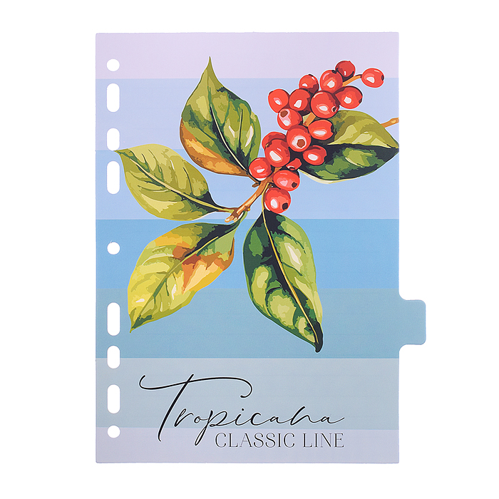 Фото к товару Разделитель листов "Tropicana" A5 (160x210 мм) ламинированный мелованный картон 210 г/м2, с Разделитель листов "Tropicana" A5 (160x210 мм) ламинированный мелованный картон 210 г/м2, с