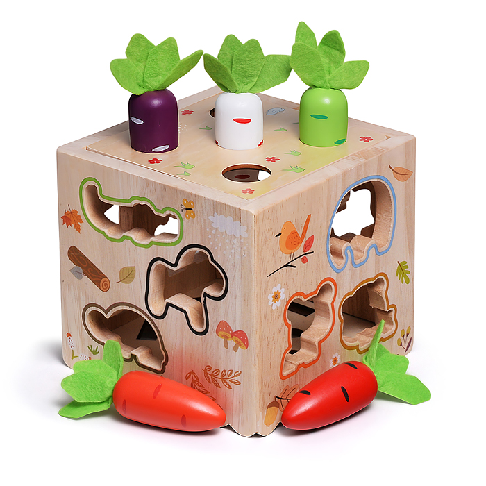 Куб развивающий D1955 "Мегакуб"