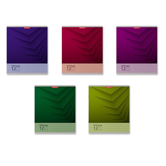Тетрадь 12л. линейка "Duotone Next" ассорти