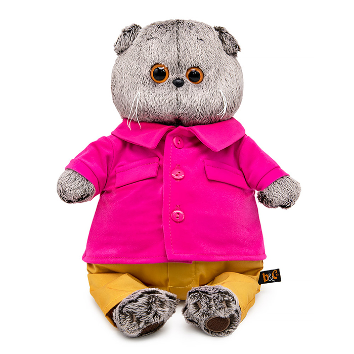 Кот Басик в яркой курточке